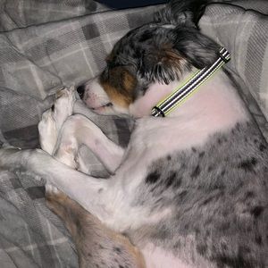 Meet your Posher, Karen